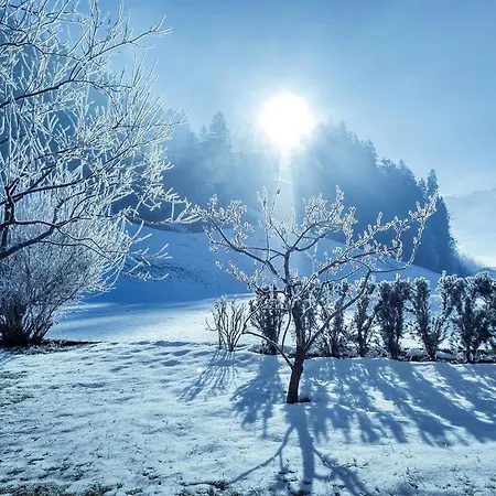 Gaestehaus Hauser * Hainzenberg